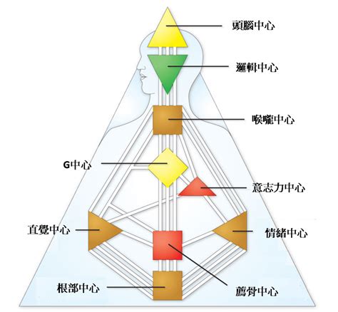 九大能量|人類圖怎麼看？看懂人類圖詳細解析：9大能量、4大類。